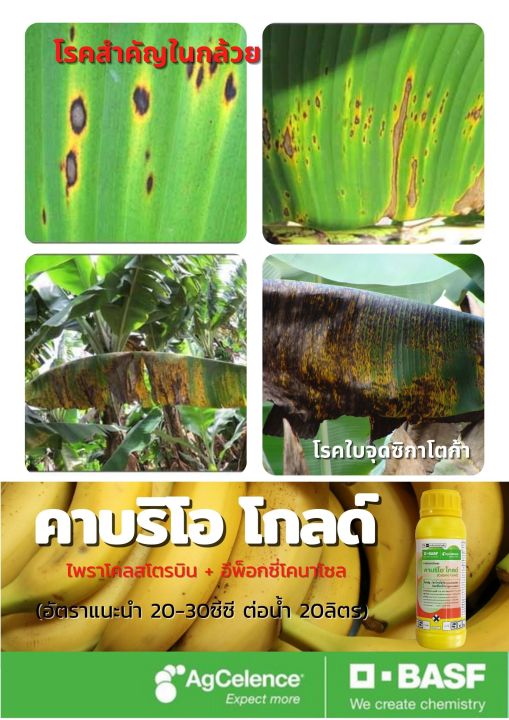 คาบริโอโกลด์-500ซีซี-ป้องกันเชื้อรา-กำจัดเชื้อรา-พืชทุกชนิด-basf-ค่าส่งถูก