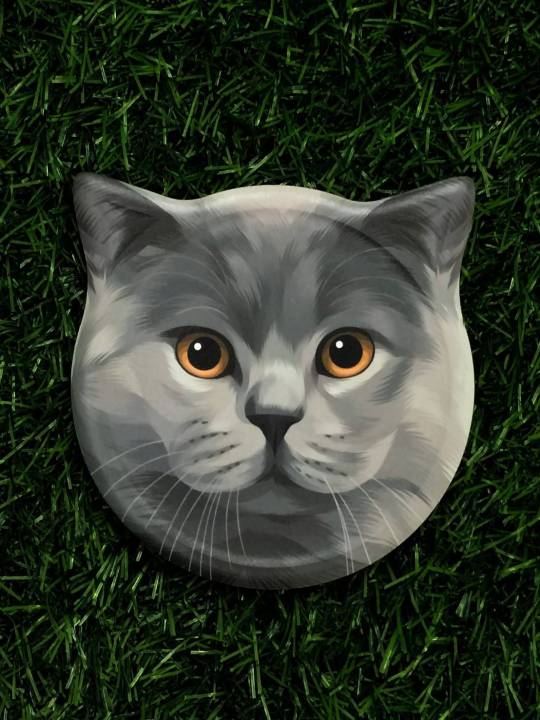 จานรองแก้วเซรามิค-รูปแมว-diatomite-แท้-ที่รองแก้วลายน่ารัก-แผ่นรองแก้วน้องแมว-พร้อมส่ง-ถูกที่สุด