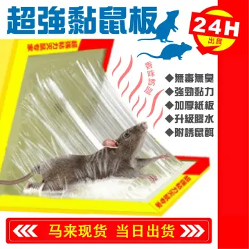 Green Killer Mouse & Rat Sticky Glue Trap Board Pest Control Rats Catcher  Papan Pelekat Tikus