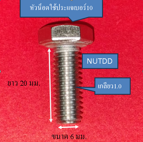 น็อต-หัวเหลี่ยม-ตัวผู้-เบอร์10-m6-เกลียวยาว-20-มม-เกลียวมิล1-0-วัสดุ-สแตนเลส-304-1ถุง10ตัว