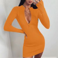 Women Zip Knitted Turtleneck Skinny Club Long Sleeve Rib Mini Dress Autumn Sexy Dress