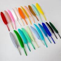 50/100Pcs Colored Feathers Feather for Needlework and Handicrafts Decoration Plumes 10-15 CM/4-6 inch