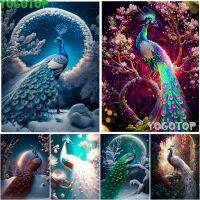 【hot】⊕♝☬  flower snow Hot Sale Fashion 5D Round Painting Embroidery Opening Peacocks for YY6230