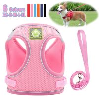 Reflective Puppy Dog Harness Vest With Walking Lead Leash Adjustable Kitten Collar Nylon Harness For Small Medium Dogs XS-XL Leashes