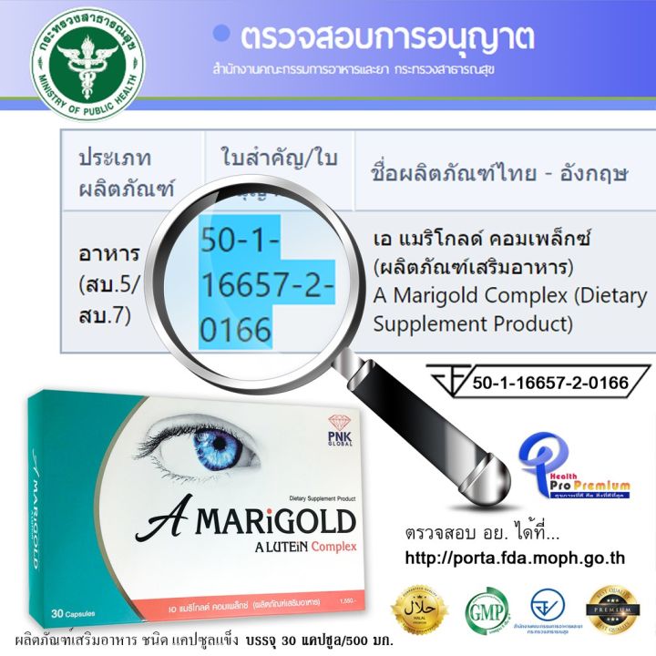 a-marigolg-complex-เอ-แมริโกลด์-คอมแพล็กซ์