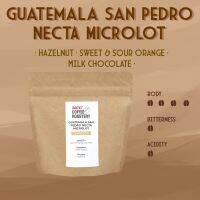 UCC GUATEMALA SAN PEDRO NECTA MICROLOT COFFEE 100g. (coffee bean)