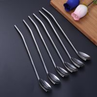 6 Pcs Stainless Steel Oval Shape Metal Drinking Spoon Straw Mixing Bar Spoon Reusable Straws Cocktail Spoons Set(Primary Color)