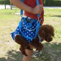 ۞❁∋ Pet Puppy Carrier Small Medium Outdoor Travel Dog Shoulder Bag Mesh Oxford Single Comfort Sling Handbag Tote Pouch