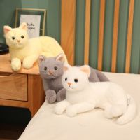 【CW】1pc 30cm Simulation Cat Plush Toys Cute Hairy Kitten Dolls Stuffed Soft Animal Dolls for Children Girls Birthday Room Decor Gift