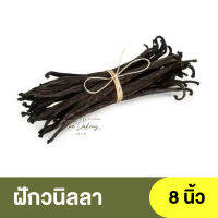 Indovanili ฝักวนิลลา 1 ฝัก ความยาวฝัก 8 นิ้ว Indovanili Vanilla Beans Premium Quality / ฝักวนิลา