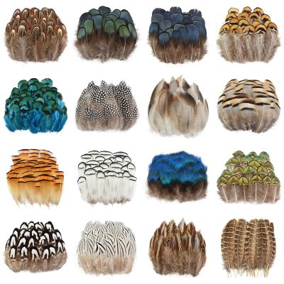 Wholesale Peacock Pheasant Feather Small Feathers Plumes for Needlework Handicraft Accessories Jewelry Decoration