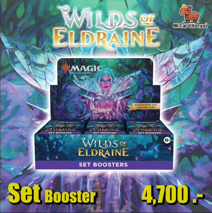 พร้อมส่ง MTG Wilds of Eldraine Set Booster Display