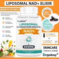 Orgabay Liposomal NAD+ 500 mg. 60 Softgels