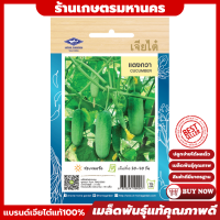 เมล็ดพันธุ์ แตงกวา 2 กรัม 55 เมล็ดOP (เมล็ดพันธุ์เจียไต๋CHIATAI)