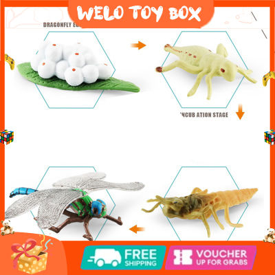 ของเล่นโมเดลสัตว์จำลองรูปตั๊กแตนหอยทากและแมลงปอตัวของเล่นเพื่อการศึกษาแอคชั่นสำหรับเด็ก