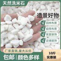 [COD] white stone cobblestone landscaping special courtyard paving garden dry 10 catties manufacturer