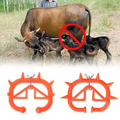 ห่วงอย่านมวัว ย่านมให้กับลูกวัว ห่วงจมูกวัว ใส่จมูกคลิปลงบนจมูกโดยไม่ต้องเจาะ ไม่เป็นอันตรายต่อวัว