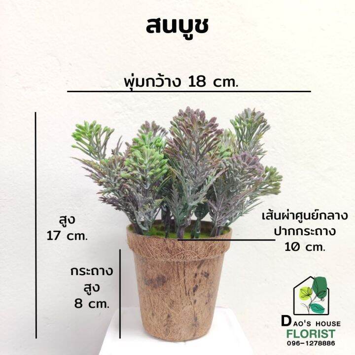 สนบูช-สนบูชในกระถาง-สนบูชปลอม-ต้นไม้ปลอม-พร้อมกระถาง-สนบูชสำหรับตกแต่งบ้าน-ใช้เป็นพร็อพถ่ายรูป