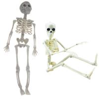 Skeleton Figure Movable Joints Skull Full Body Human Bone Model Toy Realistic Skeleton Figure Toy for Home Offices Party Favor Garden approving