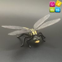 ? Genuine and exquisite model collecta I you he golden ring dragonfly simulation insect animal static model brand new toy 88350