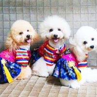 New Korean Ethnic Pet Clothing Traditional Embroidered Palace Hanbok Summer Dog Clothes Wholesale Dog Clothes Dog Costume