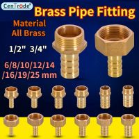 Brass Hose Fitting 6/8/10/12/14/16/19/25mm Barb Tail  1/2" 3/4" BSP Male Female Thread Copper Connector Coupler Brass Fittings Valves