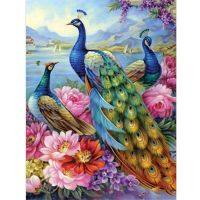 ELEGANT Bird Diy Peacock Pre-Printed 11CT Cross-Stitch Embroidery Full Kit DMC Threads Painting Hobby Craft Knitting Room Decor Sales