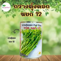 เมล็ดกวางตุ้งดอก หยก12 ตราภูเขาทอง