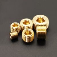 M8 M10 M12 M14 M16 M18 M20 M22 Metric Male Thread Brass Pipe Fitting Plug Internal Hex Socket End Cap Connector Adapter