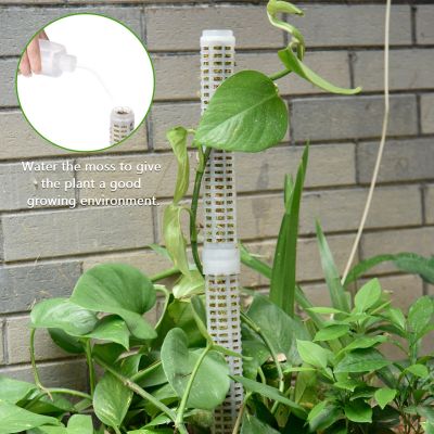 Moss Pole Plants Growing Moss Pole Durable Poles Plant Accessories Plant Support Sticks For Indoor And Outdoor Food Storage  Dispensers