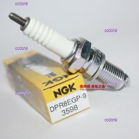 co0bh9 2023 High Quality 1pcs NGK Platinum Spark Plug DPR8EGP-9 is suitable for DPR8EA-9 Iron Horse Shadu Wanderer Stick King XL400