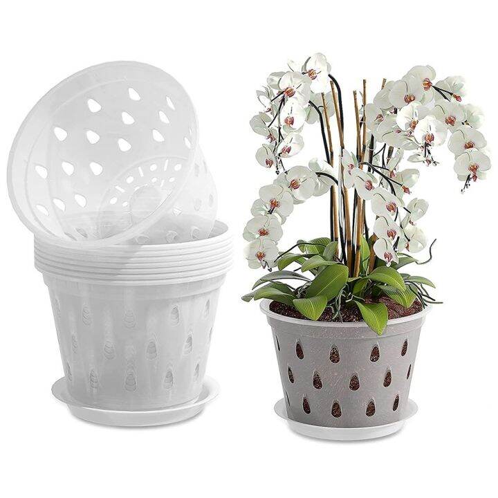 Orchid Pot With Drain Hole And Clear Plastic Orchid Pot 5.5" Lazada