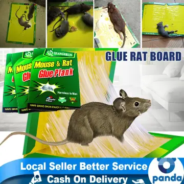 Mouse Glue Traps with Enhanced Stickiness, Rat Mouse Traps, Snake