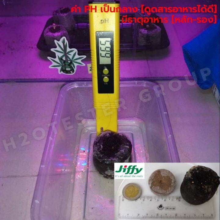 jiffyแท้-พีทมอสอัดก้อน-peat-pellet-ขนาดใหญ่-38-มม-สารอาหารเยอะ-ค่าph-เหมาะสมในการ-เพาะเมล็ด-สะดวก-ใช้ง่าย-คุณภาพคับก้อน-ส่งด่วน-ขั้นต่ำ-5ก้อน