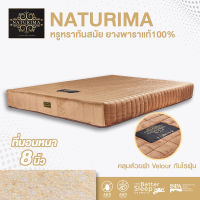 Gindex ที่นอนยางพารา แท้ 100 % Natural Latex Mattress หนา 8 นิ้ว หุ้มผ้า VELOUR  กันไรฝุ่น ขนาด 3.5 ฟุต / 5 ฟุต / 6 ฟุต รุ่น Naturima