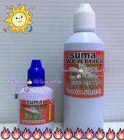 SUMA  Weather (Y) ช่วยทำให้อุณหภูมิ ในน้ำอุ่นขึ้น