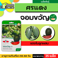 ศรแดง ?? แตงโมลูกผสม จอมขวัญ F1 ขนาดบรรจุประมาณ 35 เมล็ด อายุเก็บเกี่ยว 55-60 วัน