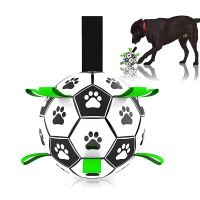 Pet Dog Toy Interactive Dog Football Soccer Ball for Small Large Dogs Outdoor Training Chewing Toys Inflator Set Pet Supplies Toys