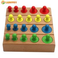 Montessori Knobbed Cylinder Socket Development Sensory Toys Preschool Early Learning Toy for Kids 3 Years Old and Up