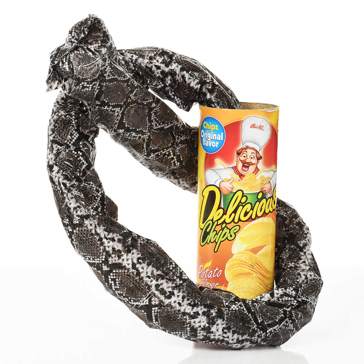 Trick Potato Chip Can  Novelty Joke Prank Jump Snake Funny Tricky Toys RR 
