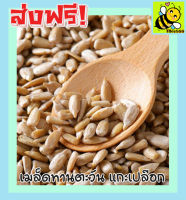 ส่งฟรี ? เมล็ดทานตะวันแกะเปลือก Sunflower Seeds Roasted Unsalted (100 กรัม) เม็ดทานตะวัน ทานตะวันอบ ขนมกินเล่นถูกๆ ขนมกินเล่น อาหารพร้อมทาน ขนมที่ดังใน tiktok ขนมถูกๆส่งฟรี ธัญพืชรวม ธัญพืชอบแห้ง ราคาถูก ขนม ลูกพรุน ผลไม้รวมอบแห้ง ขนมทานเล่น อินทะผาลัม