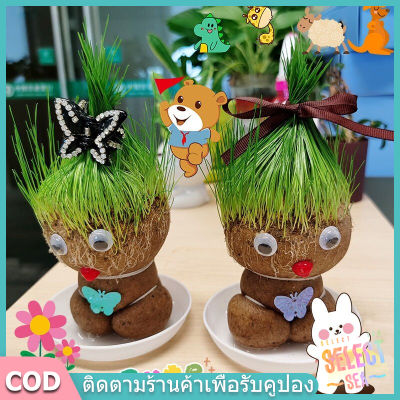 【select_sea】COD ตุ๊กตาหัวหญ้า ตุ๊กตาหญ้า หญ้าแมว กระถางสร้างสรรค์ grass head ของขวัญคริสต์มาส