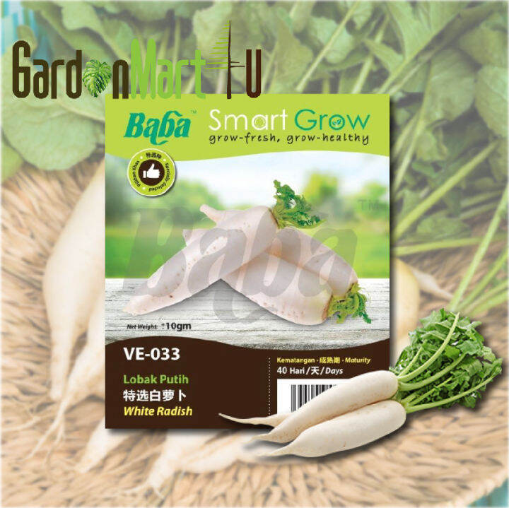 Baba Smart Grow Seeds VE-033 White Radish (Lobak Putih) +-10G Vege Seed ...