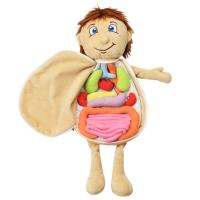 Human Body Toys 3D Early Learning Human Body Organs Toys Body Organ Awareness Teaching Tools Montessori Preschool Educational Organ Plush Toys for Kids cosy