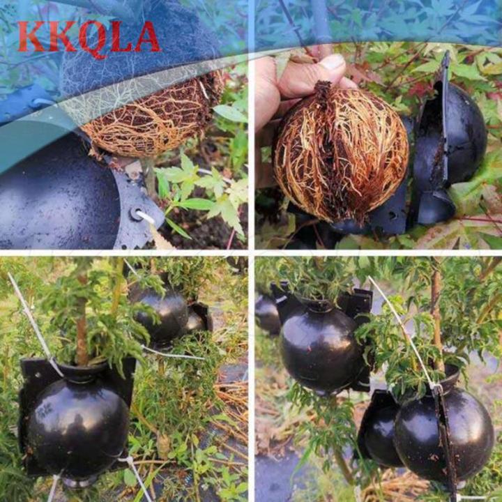 qkkqla-10pcs-plant-rooting-ball-fruit-tree-root-grow-box-plastic-case-propagation-box-grafting-rooter-growing-high-pressure