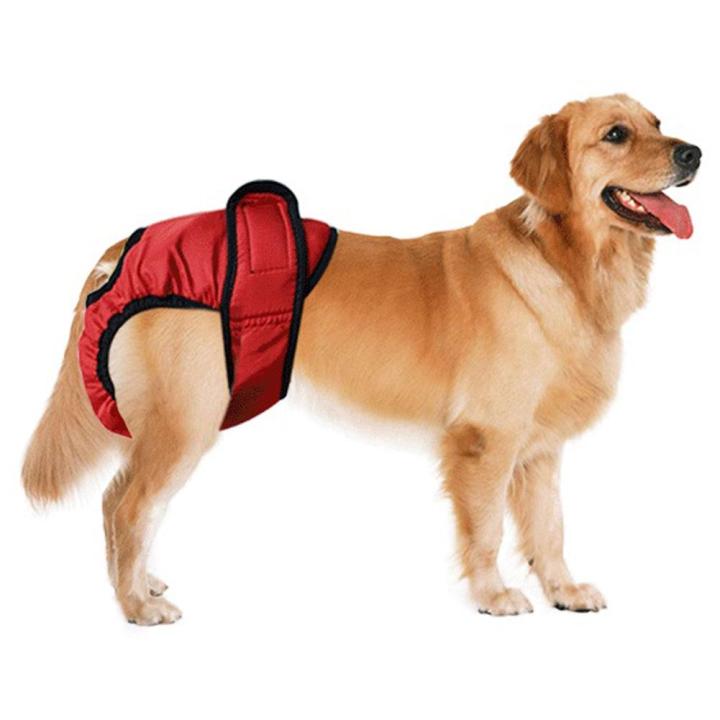 กางเกงทางสรีรวิทยาของผ้าอ้อมสุนัข-zk30กางเกงสุนัขสำหรับผู้หญิงซักได้กางเกงชั้นในขาสั้นกางเกงในสำหรับสุนัขผ้าอ้อมสุนัขซักได้