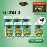 [6 แถม 3] AWL Algal Oil DHA น้ำมันสาหร่าย เสริมภูมิ 60 แคปซูล 6 กระปุก ฟรี 3 กระปุก ราคา 5,790 บาท (Auswelllife)