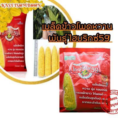 เมล็ดข้าวโพดหวาน พันธุ์ ไฮบริกซ์59 ตรา แปซิฟิค 1 กก. เมล็ดสีเหลือง หวาน นุ่ม