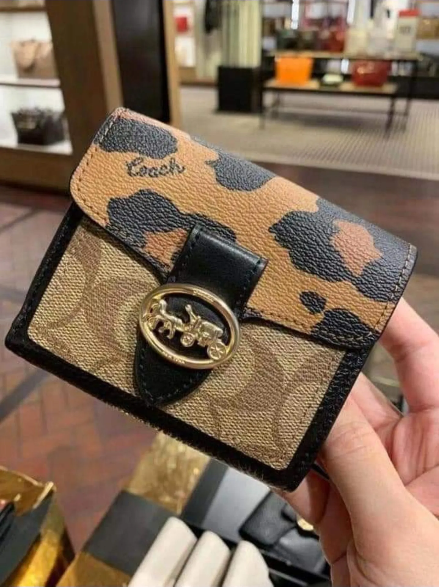 Guaranteed Original Coach Georgie Small Wallet In Signature Canvas With  Leopard Print 6260 - Light Saddle/ Khaki Multi | Lazada PH