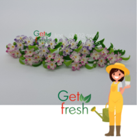 Get Fresh ดอกไม้ดินปั้น 10 ต้น ,ดอกไม้จิ๋ว ,ดอกกล้วยไม้ ช้างกระ,  Miniature Clay Flower , Fake Flower ,  ขนาดวัดด้วยมือประมาณ 2.5 x 6 cm  เกรดสวยงานละเอียด